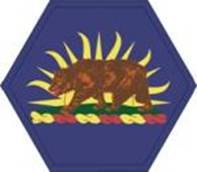 Heraldry Image - Shoulder Sleeve Insignia