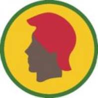 Heraldry Image - Shoulder Sleeve Insignia